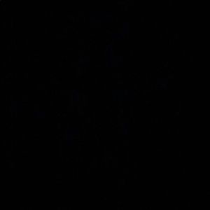 Meet your Posher, Joanne